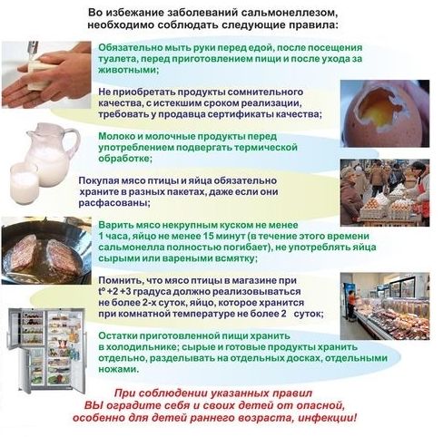 Сальмонеллез 2