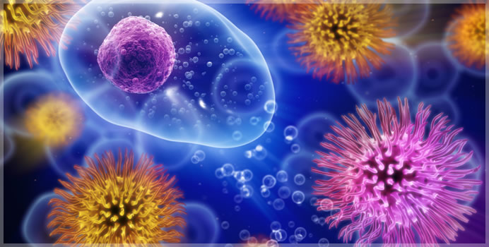 Мезенхимные клеточные элементы