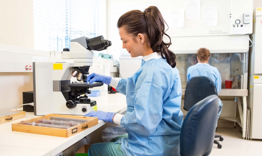 В чем отличие цитологическое и гистологического исследований?