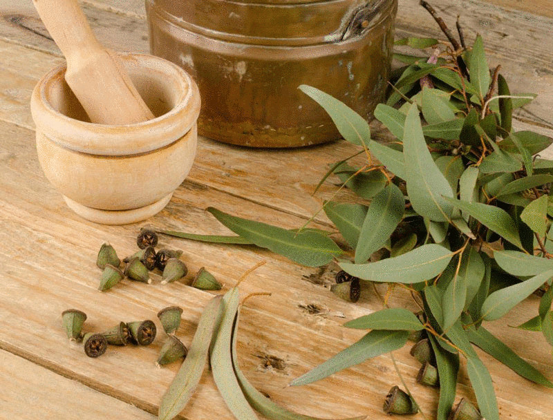 content_inhalation-of-a-cold---recipes-based-on-herbs-and-essential-oils