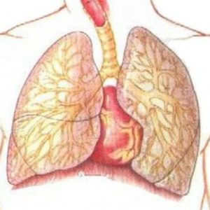 dyhatelnaya_nedostatochnost