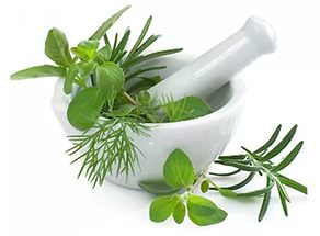 Фитотерапия