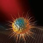 Недифференцированные клетки скелетной мускулатуры