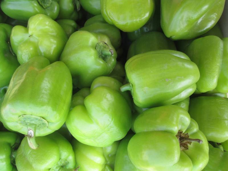 Зеленый болгарский перец