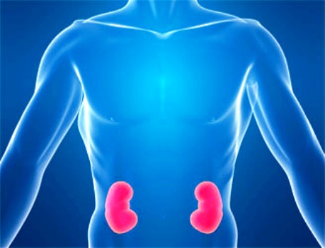 Нефрит: симптомы и лечение