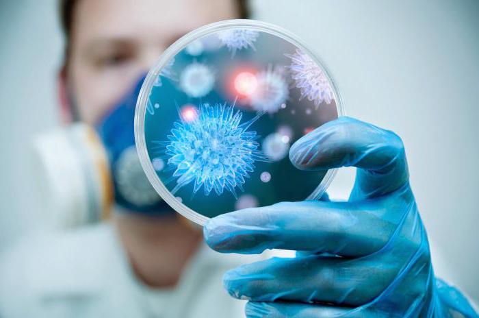 koronavrus-u-lyudini-simptomi-lkuvannya-koronavrus-mers-u-lyudini_762