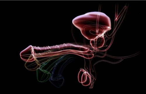 Кавернозография