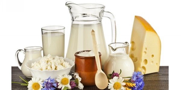 Факты и гипотезы