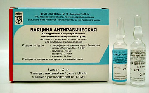 privivka-ot-beshenstva-cheloveku-2