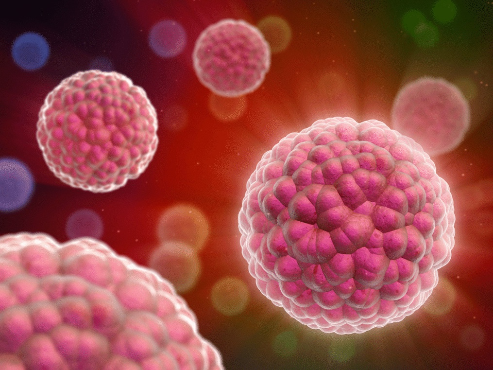 rakovo-embrionalynyj-antigen11