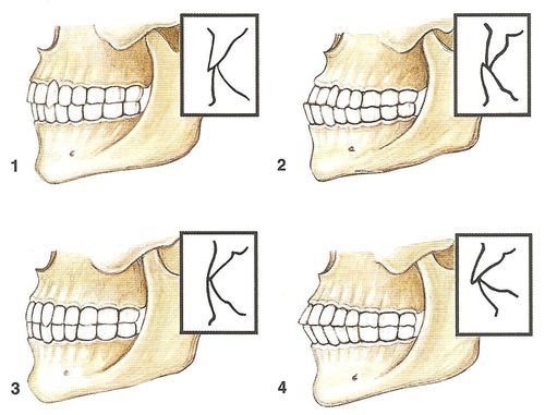 rgqnnkcoswmllmxmpsyyuyuk dybnuaklgazukbidyupjhn wwfuvztpkwnlkh