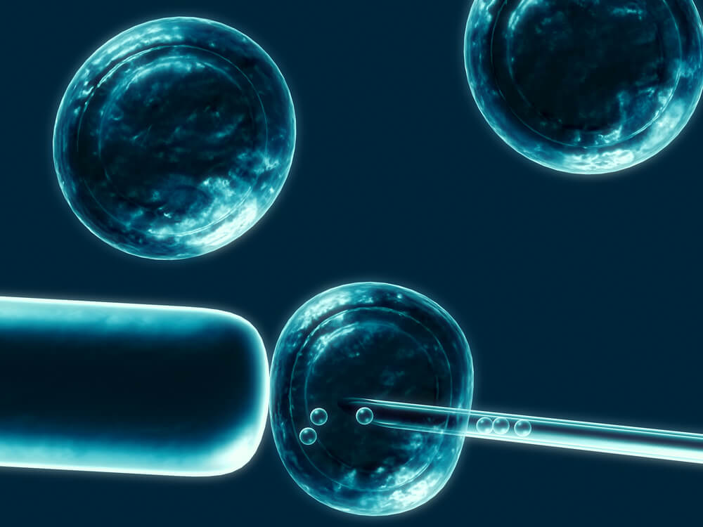 Стволовые клетки в косметологии