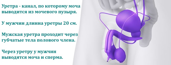 uretrit-u-muzhchin