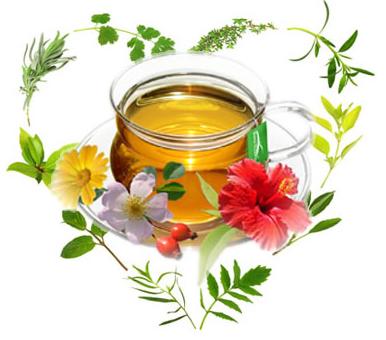 Лечение фасолью