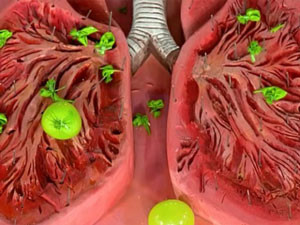 Муколитические лекарственные средства при кашле