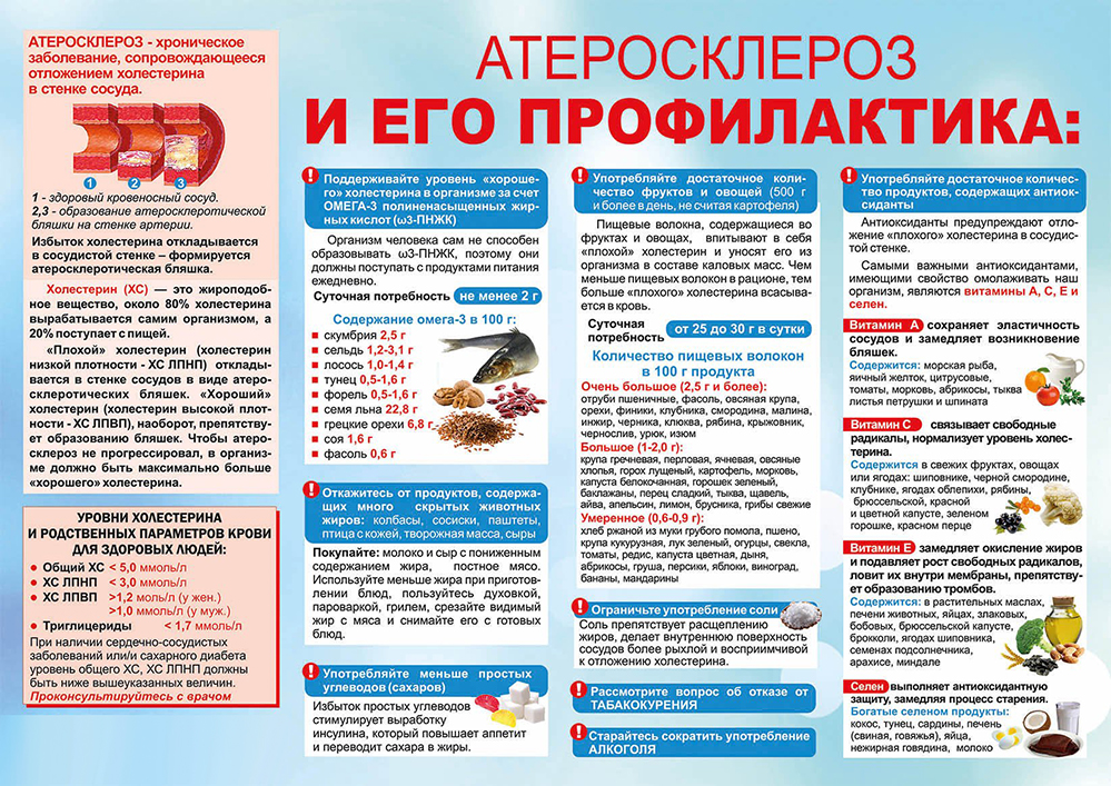 Атеросклероз и его профилактика Атеросклероз и его профилактика