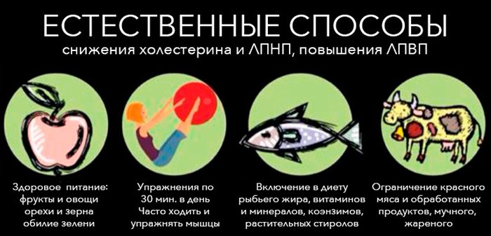 Естественные способы снижения холестерина Естественные способы снижения холестерина