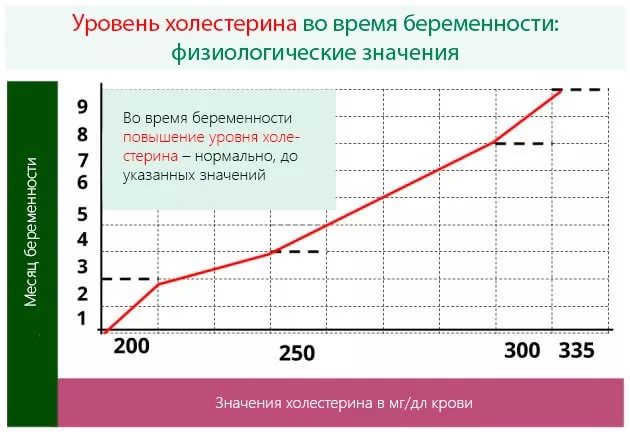 Физиологические значения холестерина Физиологические значения холестерина