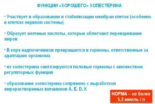 Функции хорошего холестерина Функции хорошего холестерина