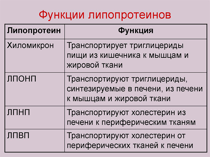 Функции липопротеинов Функции липопротеинов