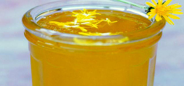 Ликер из одуванчиков Ликер из одуванчиков