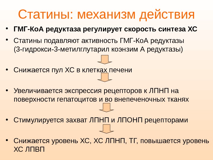 Механизм действия статинов Механизм действия статинов