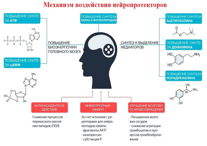 Механизм воздействия нейропротекторов Механизм воздействия нейропротекторов