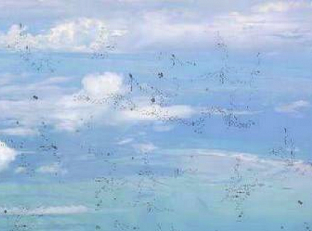 Мушки в глазах Мушки в глазах