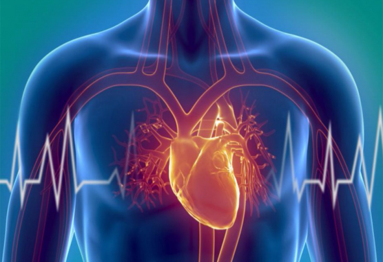 Нарушение работы сердца Нарушение работы сердца