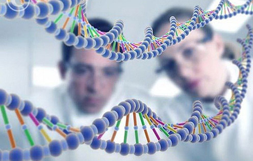 Наследственный фактор Наследственный фактор