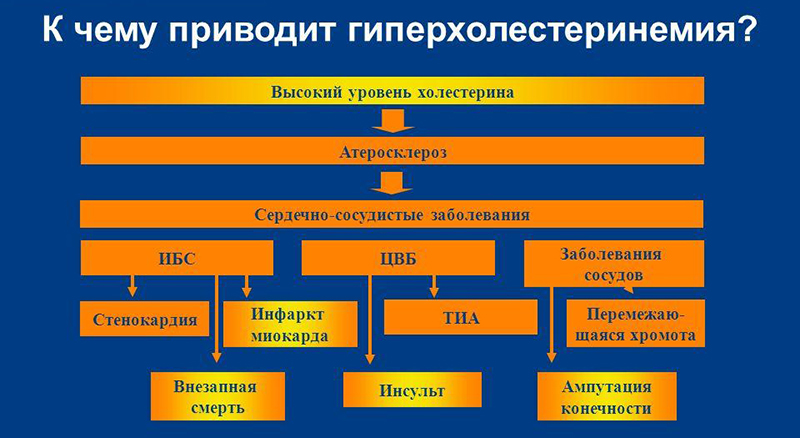 Опасность гиперхолестеринемии Опасность гиперхолестеринемии