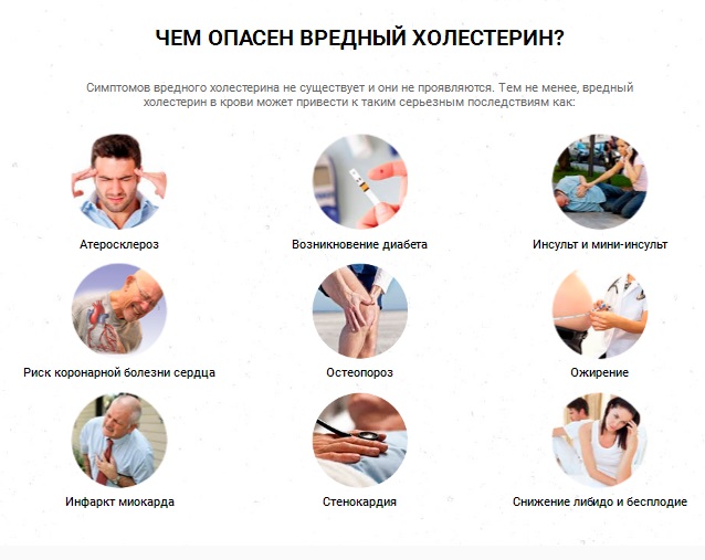 Опасность высокого холестерина Опасность высокого холестерина