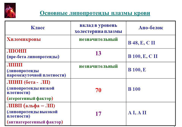 Основные липопротеиды плазмы крови Основные липопротеиды плазмы крови