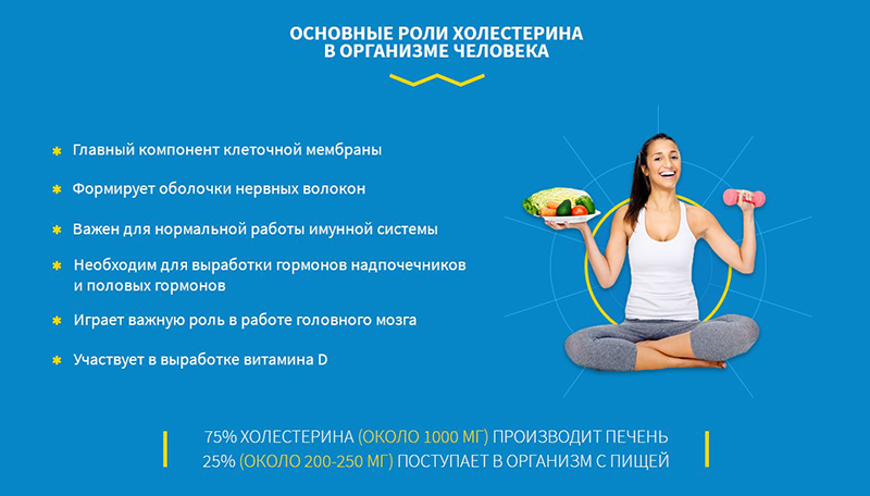 Основные роли холестерина Основные роли холестерина