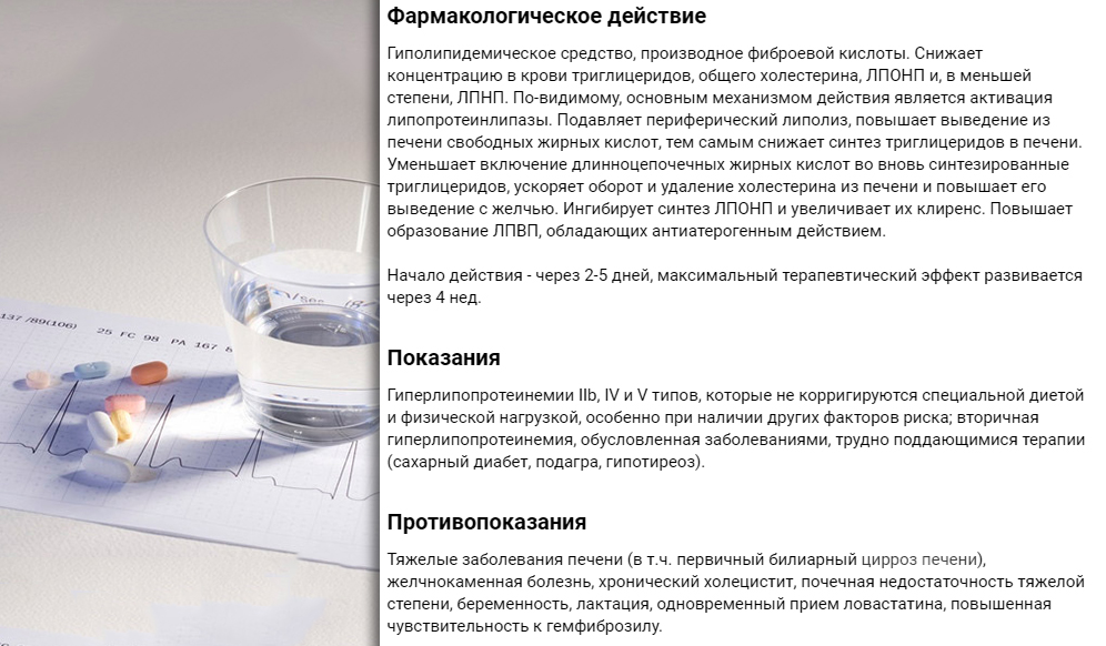 Особенности Иполипида Особенности Иполипида