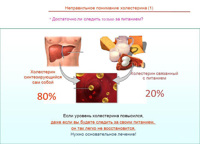 Особенности холестерина Особенности холестерина