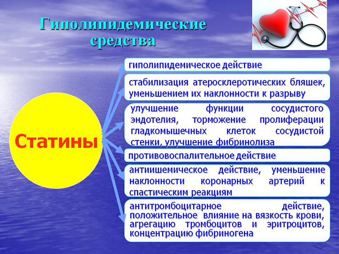 Особенности статинов Особенности статинов