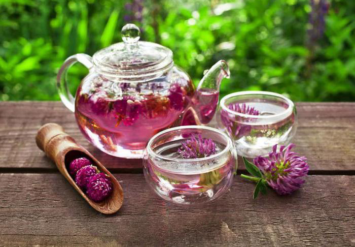 Отвар клевера Отвар клевера