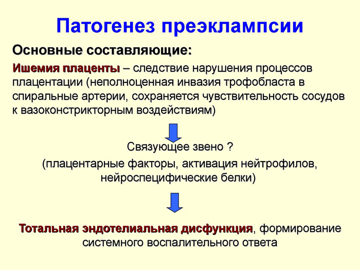 Патогенез преэклампсии Патогенез преэклампсии