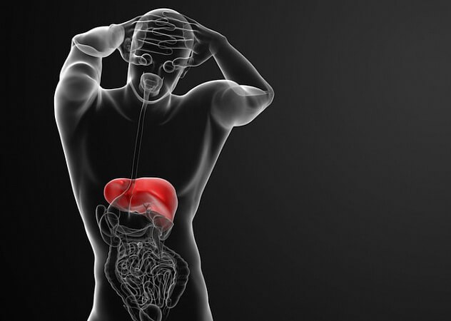 Патологии печени Патологии печени