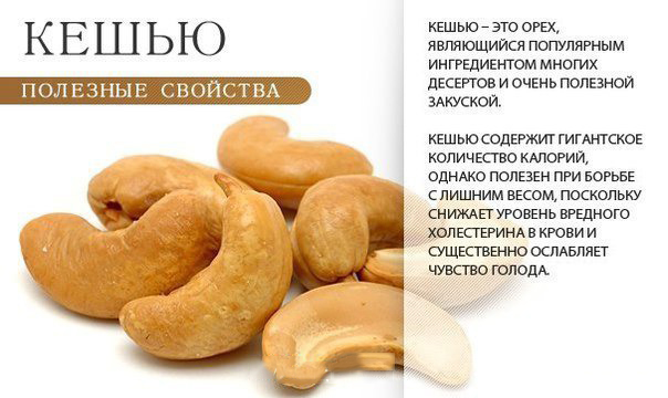 Полезные свойства кешью Полезные свойства кешью