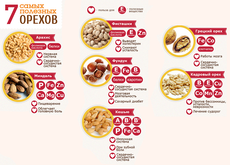 Полезные виды орехов Полезные виды орехов