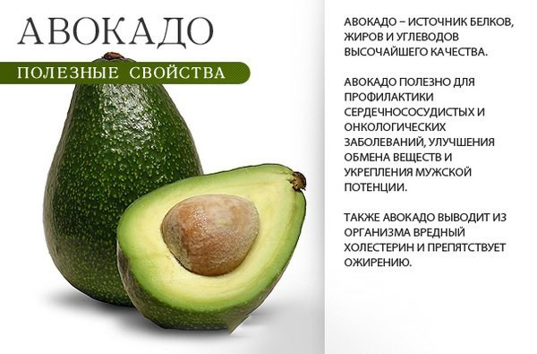 Польза авокадо Польза авокадо