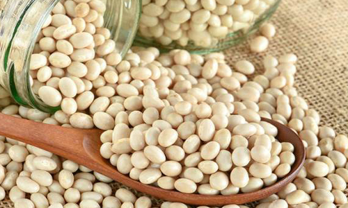 Польза фасоли при высоком холестерине Польза фасоли при высоком холестерине