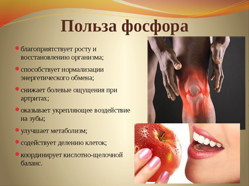 Польза фосфора Польза фосфора