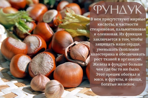 Польза фундука Польза фундука