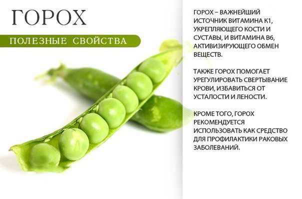 Польза гороха Польза гороха