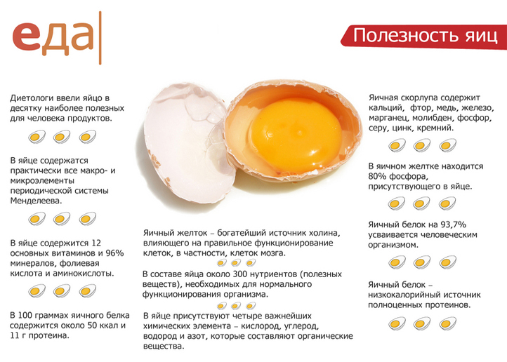 Польза яиц Польза яиц