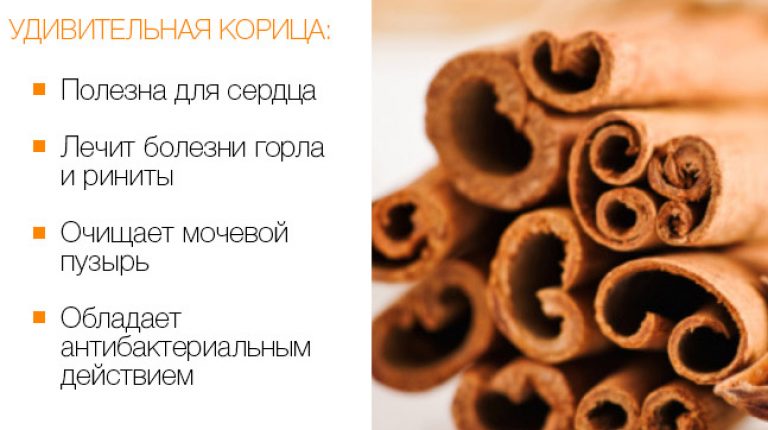 Польза корицы Польза корицы