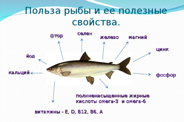 Польза рыбы Польза рыбы